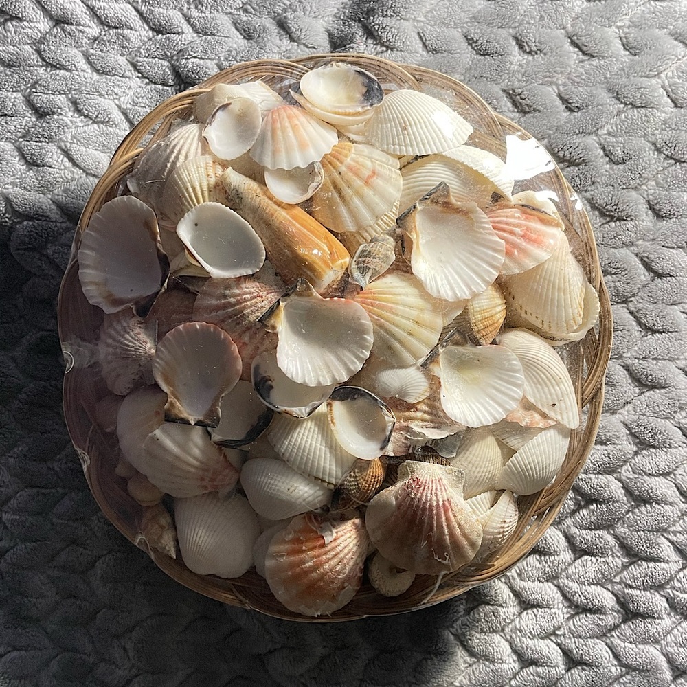 Coco Midrib Shell pack